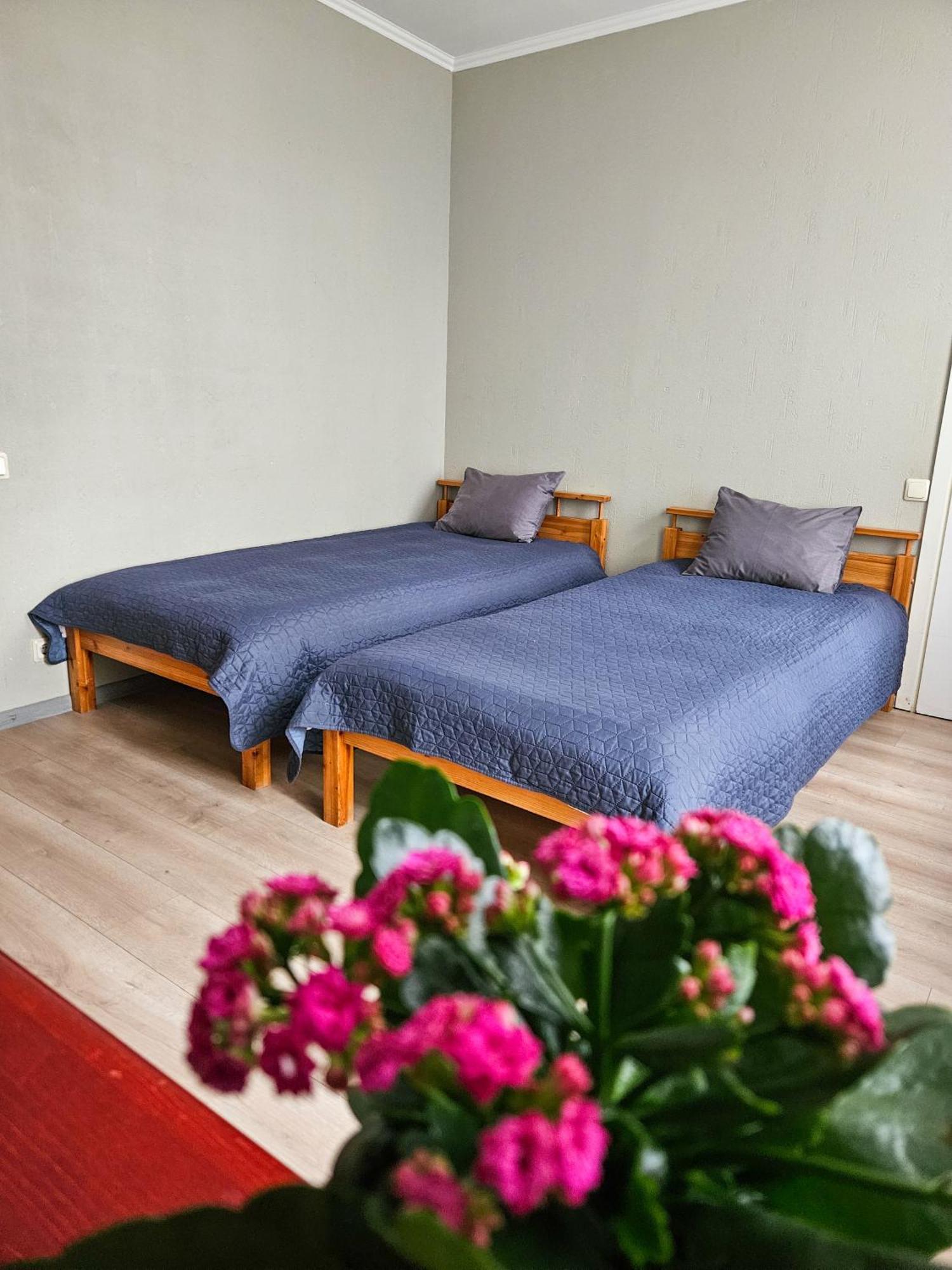 Muzeja Apartamenti Рига Экстерьер фото